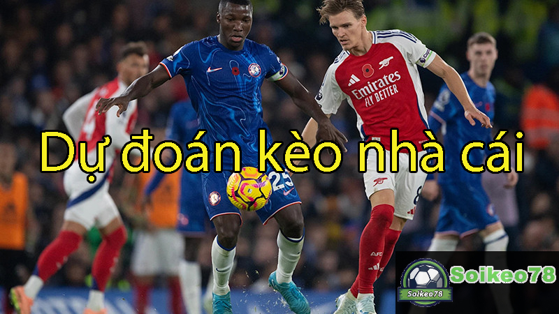 Dự đoán kèo nhà cái – Chia sẻ hữu ích dành cho tân thủ